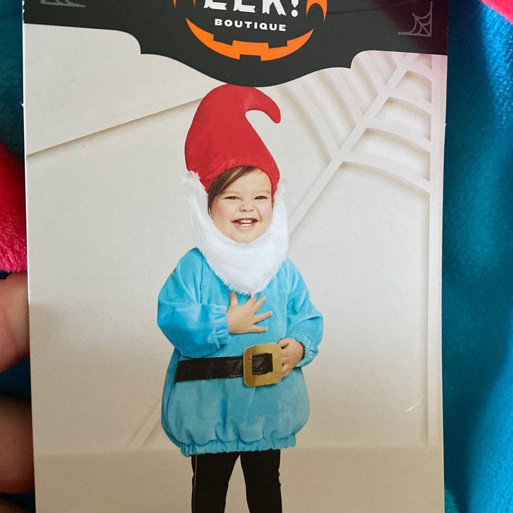 NWT gnome baby costume